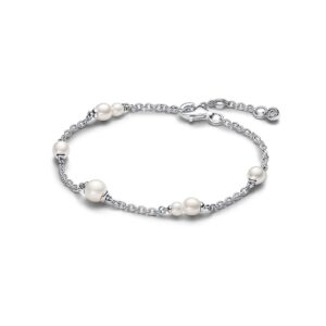 Pandora Armband Pandora Timeless 593172C01-20