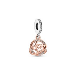 Pandora Charm Moments 789374C01