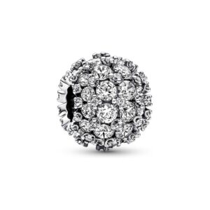 Pandora Charm Timeless 792630C01