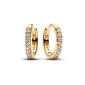 Pandora Creolen Timeless 263015C01