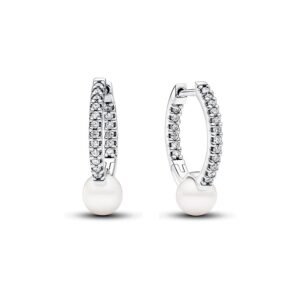 Pandora Creolen Pandora Timeless 293171C01